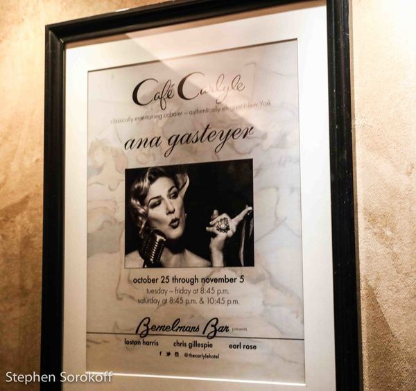 Photo Coverage: Ana Gasteyer Makes Cafe Carlyle Debut Image