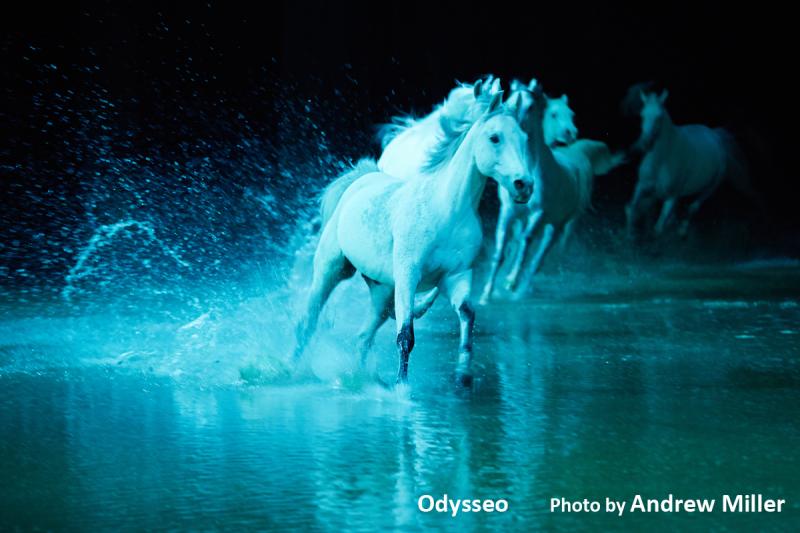 Interview: Cavalia's Normand Latourelle on Captivating Audiences With ODYSSEO Image
