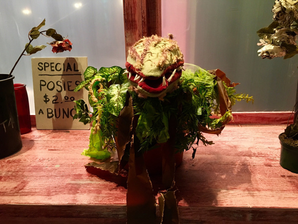 Photo Flash: Here Comes Audrey II! First Look at LITTLE SHOP OF HORRORS at Dante Hall Theater 