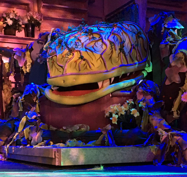 Photo Flash: Here Comes Audrey II! First Look at LITTLE SHOP OF HORRORS at Dante Hall Theater 