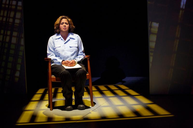 Review: Anna Deavere Smith's NOTES FROM THE FIELD; Voices From America's School-To-Prison Pipeline Image