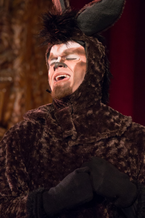 Photo Coverage: First look at Wagnalls Community Theater Presents SHREK THE MUSICAL 