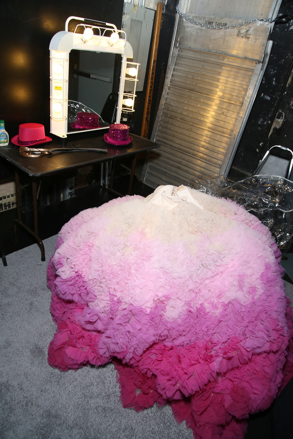 Exclusive Photo Coverage: Backstage on Broadway with Kristin Chenoweth Image