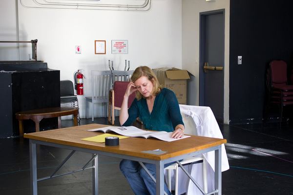 Photo Flash: In Rehearsal with Mary Beth Fisher and James Vincent Meredith for ROZ AND RAY at Victory Gardens Image