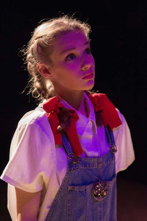 Photo Flash: THE WONDERFUL WIZARD OF OZ at Lakewood Playhouse Image