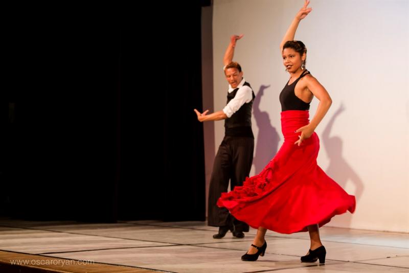 Call to Fill New Places in Dance For All's Bridging Programme Image