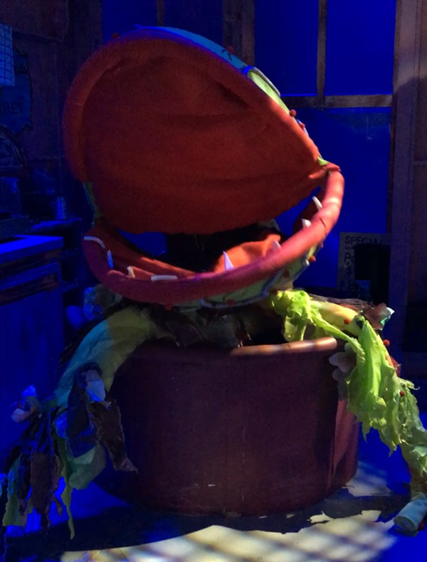 Photo Flash: First Look at LITTLE SHOP OF HORRORS at Dante Hall Image