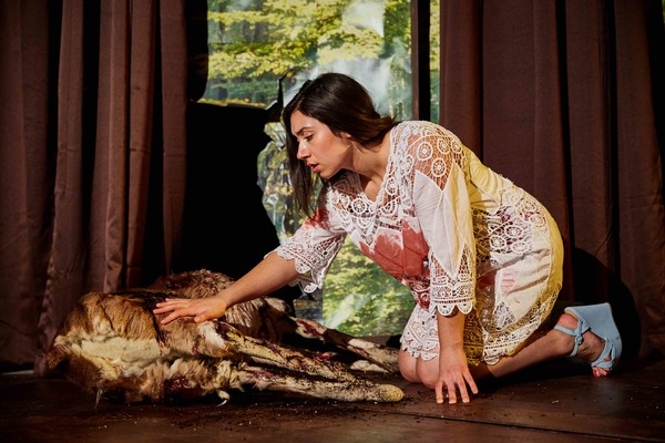 Photo Flash: First Look at First Floor Theater's DEER AND THE LOVERS at The Den Theatre Image