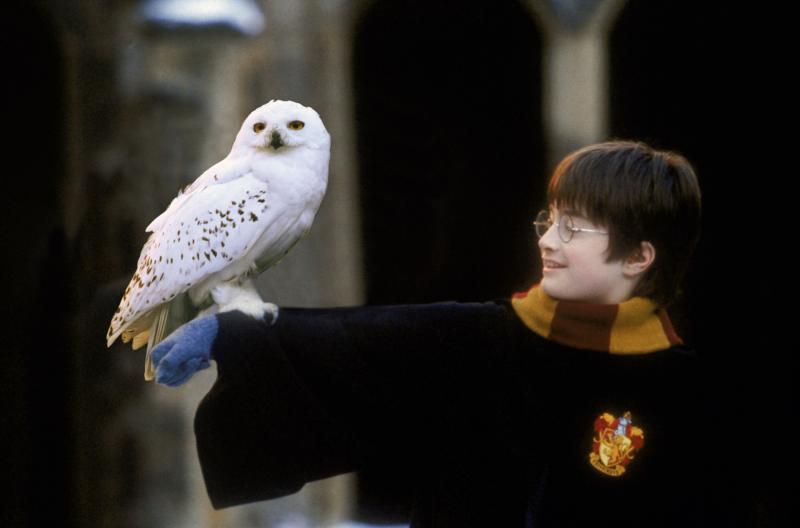 Review: OC's Segerstrom Center Presents HARRY POTTER - IN CONCERT Image