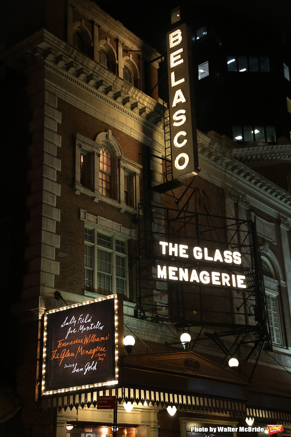 Up on the Marquee: THE GLASS MENAGERIE with Sally Field Image