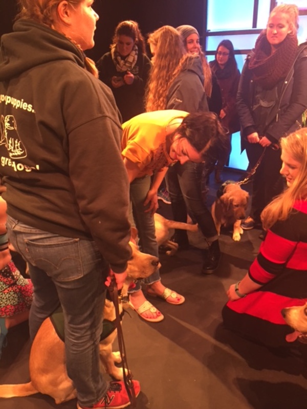 Photo Flash: Rutgers University Seeing Eye Puppy Training Club Visits A DOG STORY Off-Broadway Image