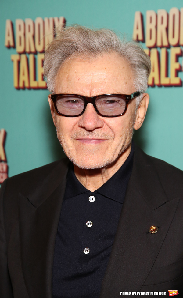Photo Coverage: On the Opening Night Red Carpet for A BRONX TALE Image