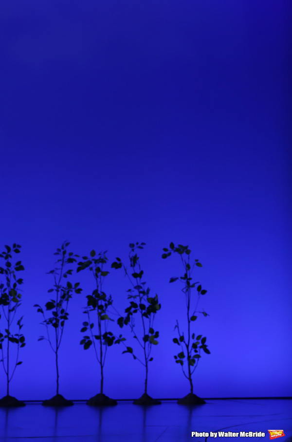 Photo Coverage: DEAR EVAN HANSEN Takes Opening Night Broadway Bows! Image