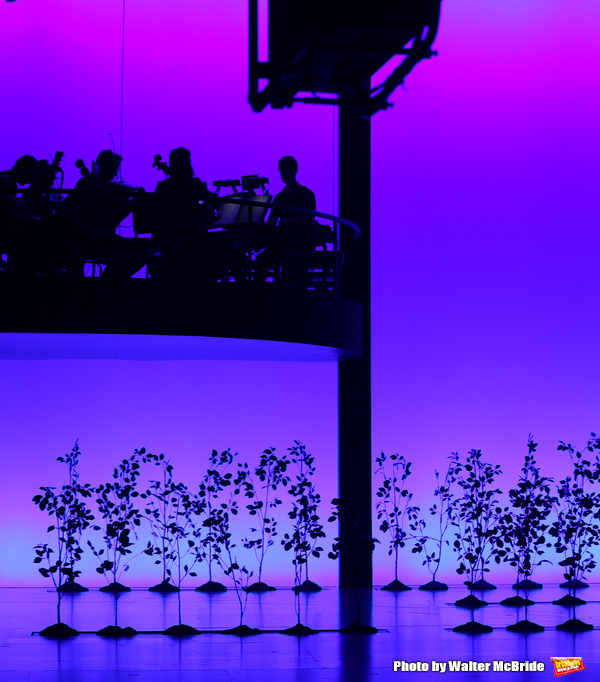 Photo Coverage: DEAR EVAN HANSEN Takes Opening Night Broadway Bows! Image