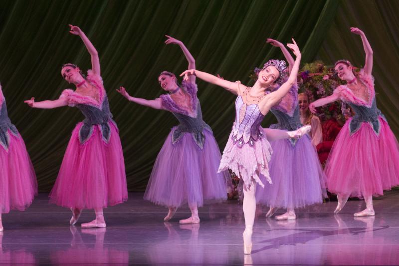 Review: Nashville Ballet's Colorful and Resplendent NASHVILLE'S NUTCRACKER Image