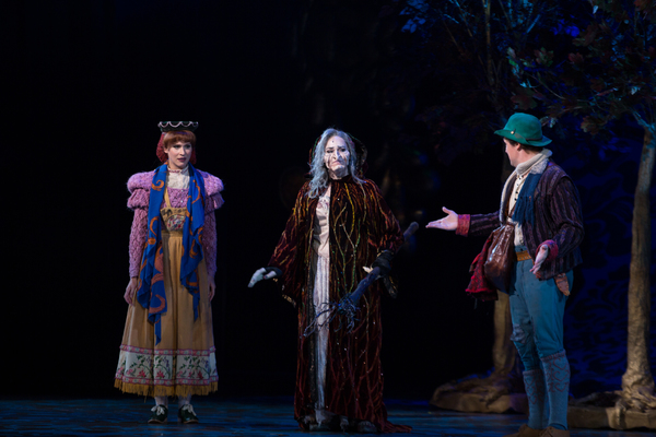 Photo Flash: First Look at Emily Skinner, Nick Bailey, Jeremy Hays and More in INTO THE WOODS at TUTS Image