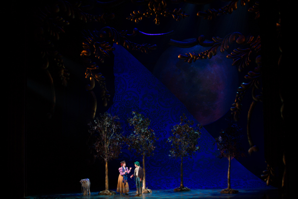 Photo Flash: First Look at Emily Skinner, Nick Bailey, Jeremy Hays and More in INTO THE WOODS at TUTS Image