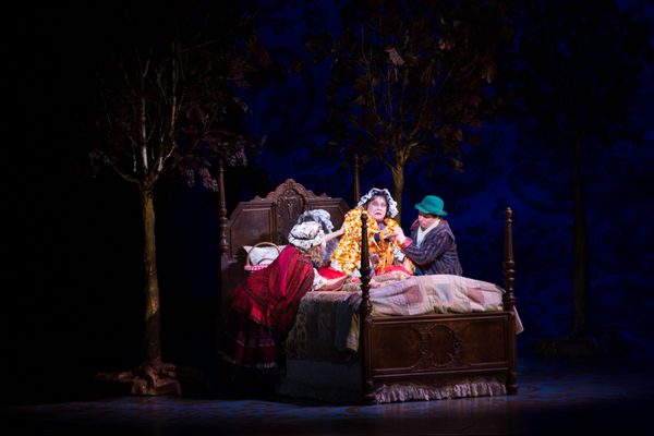 Photo Flash: First Look at Emily Skinner, Nick Bailey, Jeremy Hays and More in INTO THE WOODS at TUTS Image