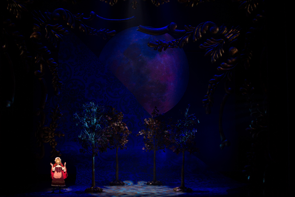 Photo Flash: First Look at Emily Skinner, Nick Bailey, Jeremy Hays and More in INTO THE WOODS at TUTS Image