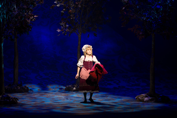 Photo Flash: First Look at Emily Skinner, Nick Bailey, Jeremy Hays and More in INTO THE WOODS at TUTS Image