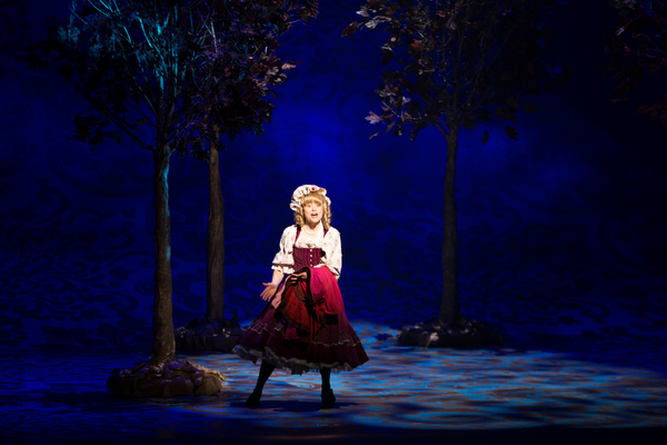 Photo Flash: First Look at Emily Skinner, Nick Bailey, Jeremy Hays and More in INTO THE WOODS at TUTS Image