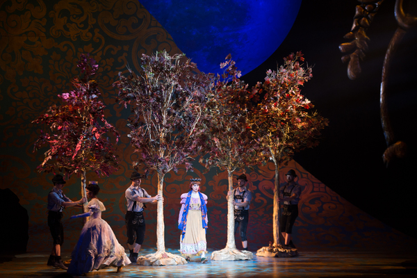 Photo Flash: First Look at Emily Skinner, Nick Bailey, Jeremy Hays and More in INTO THE WOODS at TUTS Image
