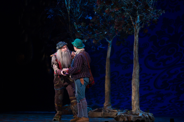 Photo Flash: First Look at Emily Skinner, Nick Bailey, Jeremy Hays and More in INTO THE WOODS at TUTS Image