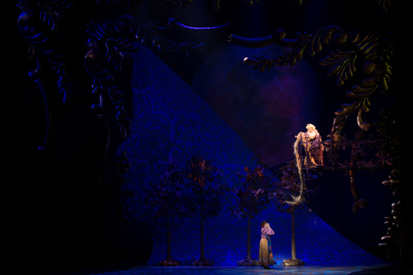 Photo Flash: First Look at Emily Skinner, Nick Bailey, Jeremy Hays and More in INTO THE WOODS at TUTS Image