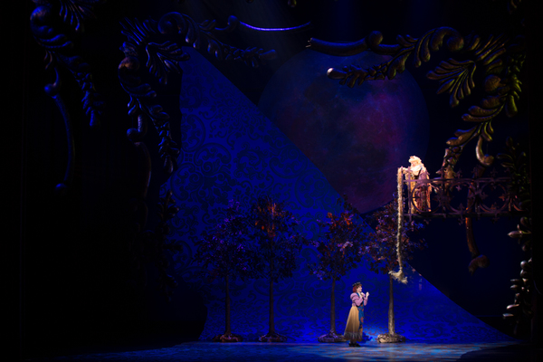 Photo Flash: First Look at Emily Skinner, Nick Bailey, Jeremy Hays and More in INTO THE WOODS at TUTS Image