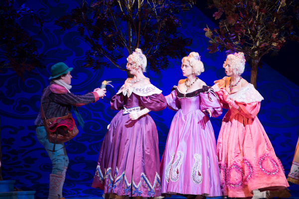 Photo Flash: First Look at Emily Skinner, Nick Bailey, Jeremy Hays and More in INTO THE WOODS at TUTS Image