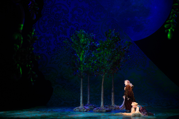 Photo Flash: First Look at Emily Skinner, Nick Bailey, Jeremy Hays and More in INTO THE WOODS at TUTS Image