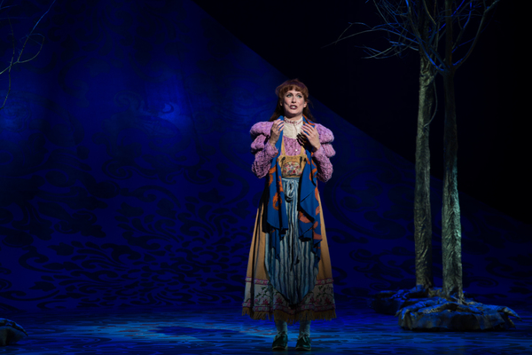 Photo Flash: First Look at Emily Skinner, Nick Bailey, Jeremy Hays and More in INTO THE WOODS at TUTS Image