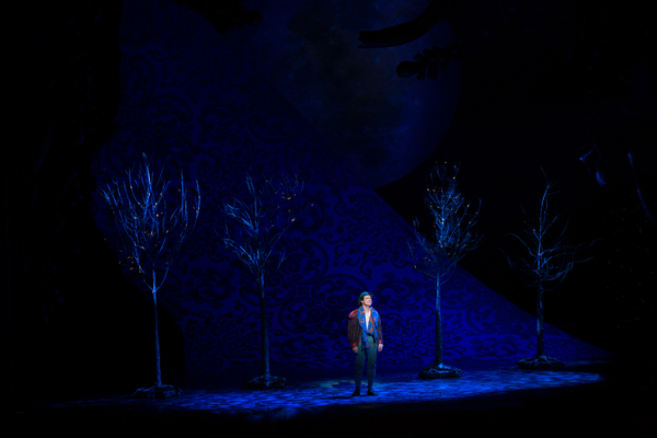 Photo Flash: First Look at Emily Skinner, Nick Bailey, Jeremy Hays and More in INTO THE WOODS at TUTS Image