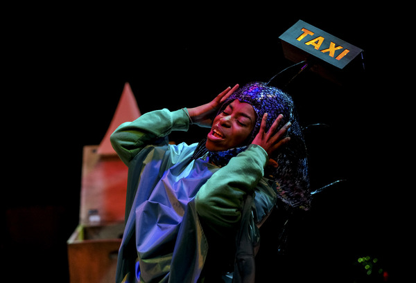 Photo Flash: Scarborough's Stephen Joseph Theatre Presents PINOCCHIO Image