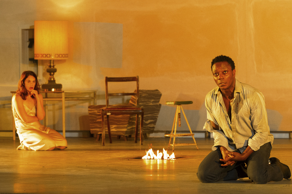 Photo Flash: New Images of Ruth Wilson in Ivo van Hove's HEDDA GABLER Image