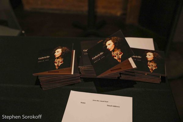 Photo Coverage: Gabrielle Stravelli Launches DREAM AGO at SubCulture 