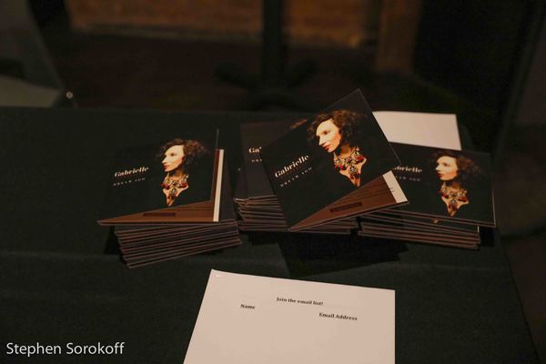 Photo Coverage: Gabrielle Stravelli Launches DREAM AGO at SubCulture Image