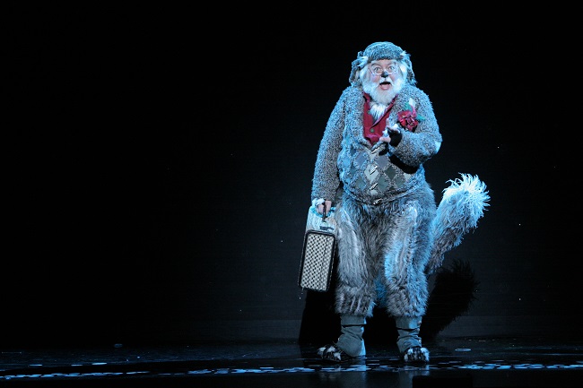My Favorite Things: DC's Cast Members Share Their Holiday Favorites Image