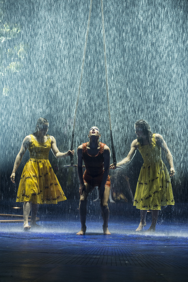 Photo Flash: Sneak Peek at Cirque du Soleil's LUZIA, Coming to San Jose  Image