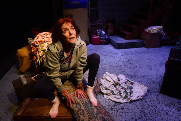 Photo Flash: Greenhouse Theater Center Presents the World Premiere of HER AMERICA 