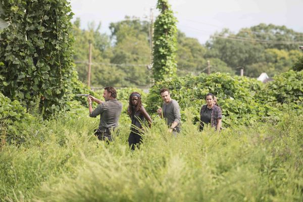 Photo Flash: AMC Shares WALKING DEAD Season 7B Official Synopsis & First Look Images 