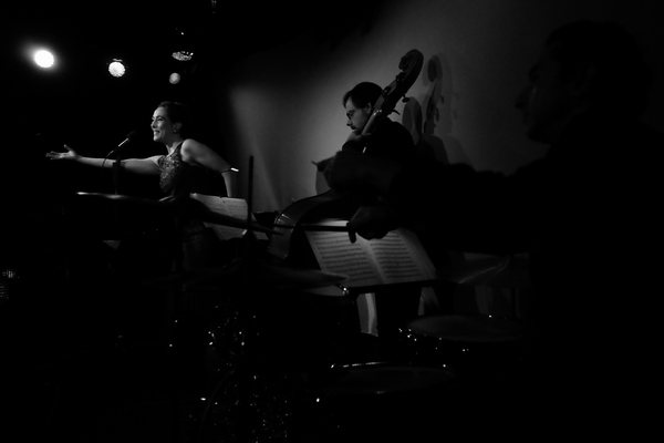 Photo Flash: Melinda Hughes Returned To The Metropolitan Room In CHEERS DARLING Image