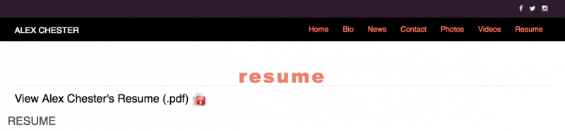 New from BroadwayWorld, Your Own Auto-Updating Official Web Site Image