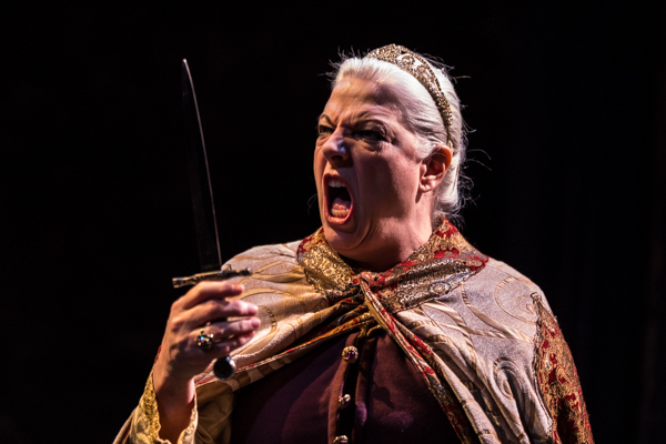 Photo Coverage: First Look at SRO's THE LION IN WINTER Image