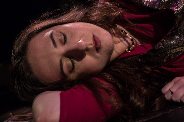 Photo Coverage: First Look at SRO's THE LION IN WINTER Image
