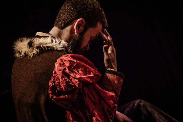 Photo Coverage: First Look at SRO's THE LION IN WINTER Image