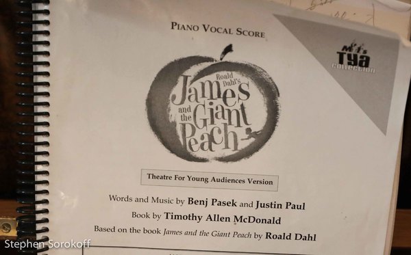 Photo Coverage: Benj Pasek & Justin Paul's JAMES AND THE GIANT PEACH Presented by NiCori Studios Image