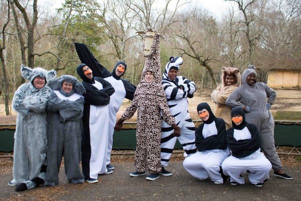 Photo Flash: Cast of MADAGASCAR Visits the Jackson Zoological Park! Image