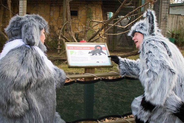 Photo Flash: Cast of MADAGASCAR Visits the Jackson Zoological Park! Image