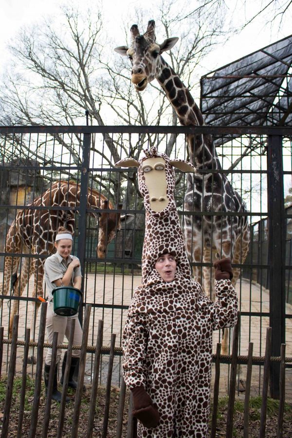 Photo Flash: Cast of MADAGASCAR Visits the Jackson Zoological Park! Image